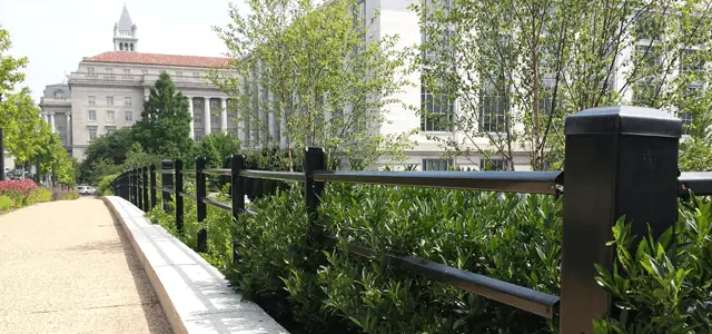 Pedestrian path bordered by a security fence and dense shrubs near historic buildings.