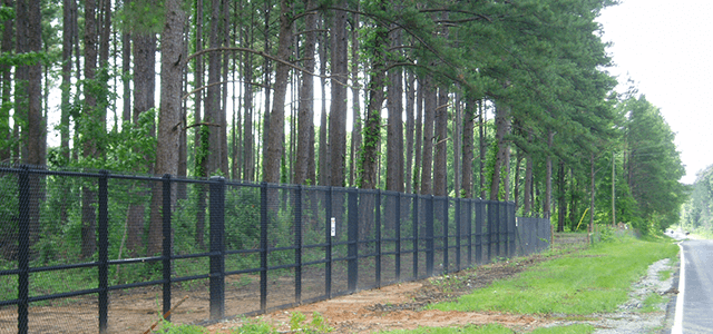 Tall security fence with chain-link mesh running parallel to a forested road.